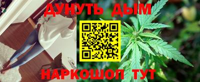 дмт Гай