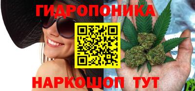 мяу мяу мука Гагарин