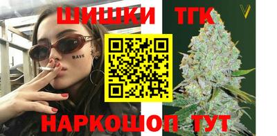 дмт Гай