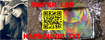 СК Гатчина