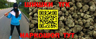 дмт Гай