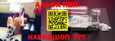 дмт Гай