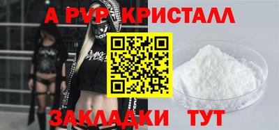 СК Гатчина