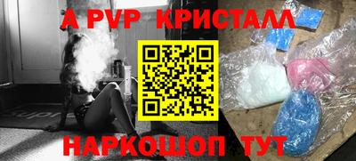 дмт Гай