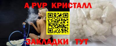 дмт Гай