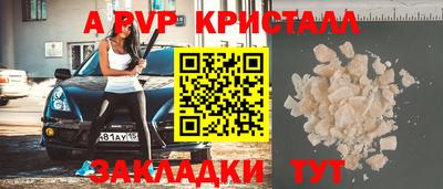 СК Гатчина